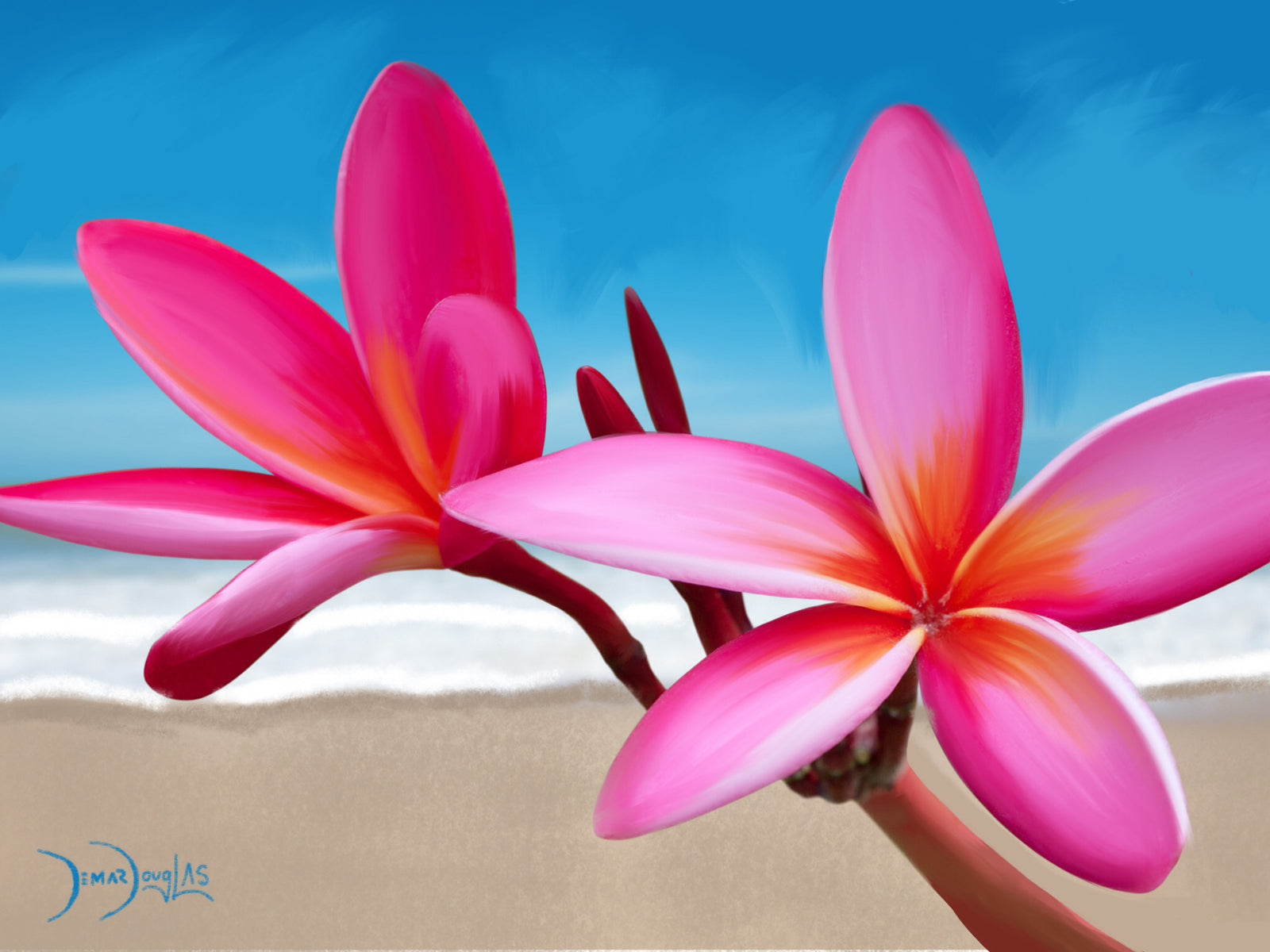 Theresa Douglas Collection