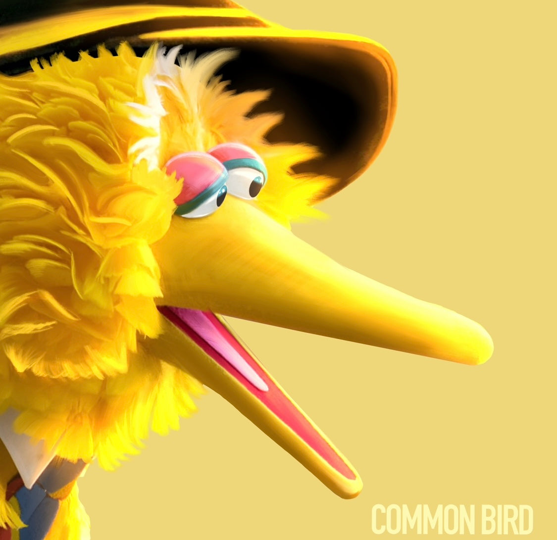 Common Bird